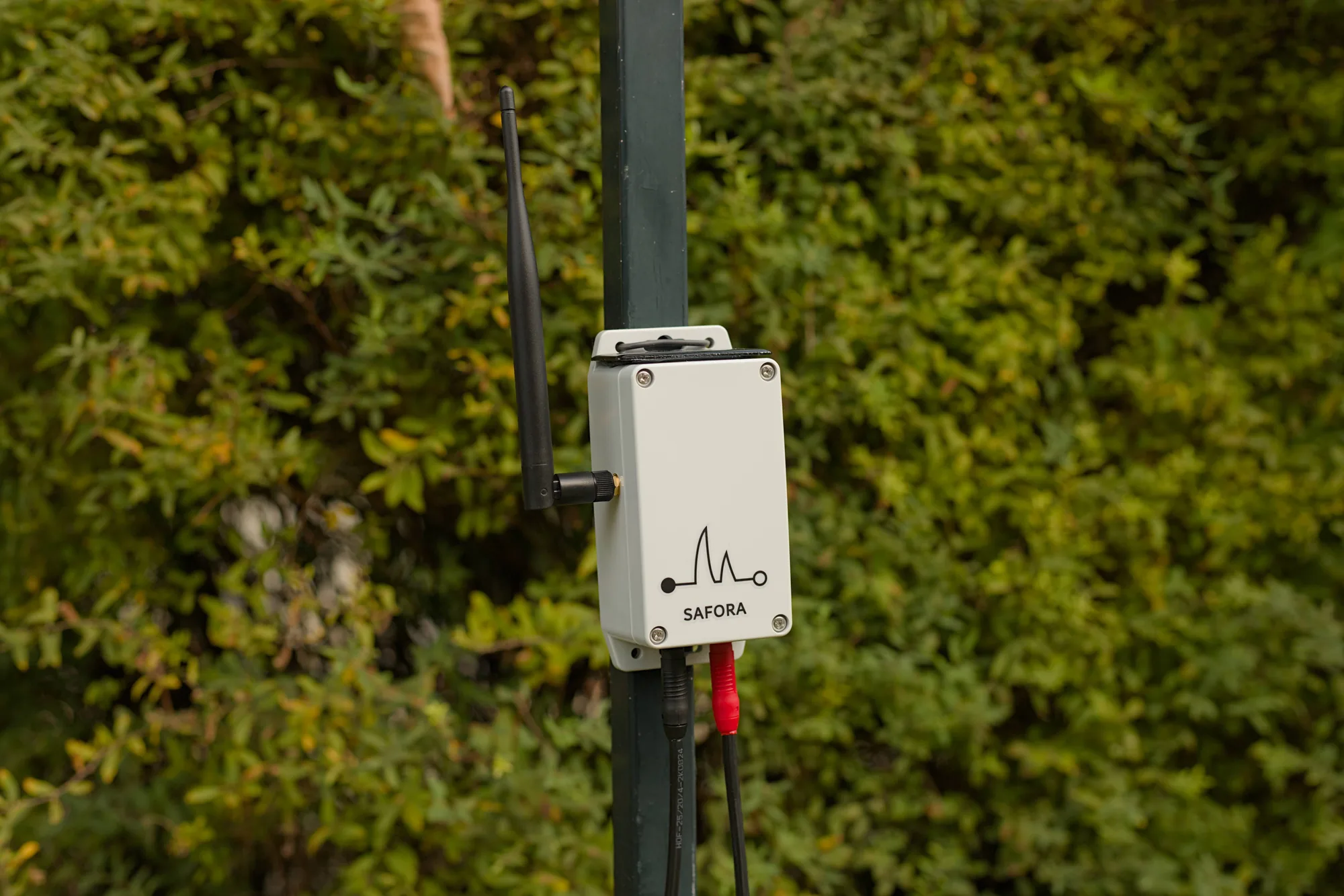 Safora sensor unit mounted on a fence post