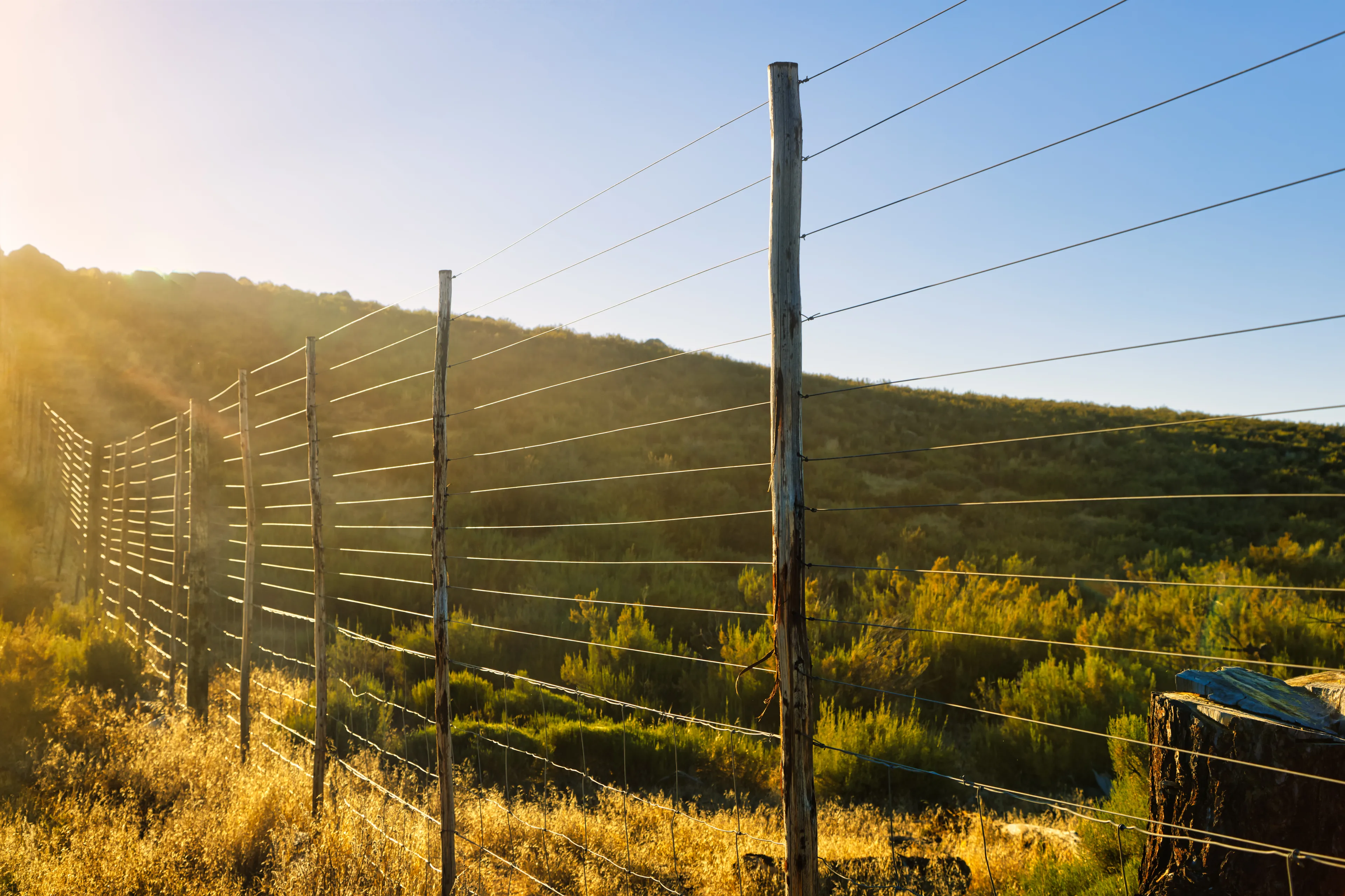 Electric fence at sunset
